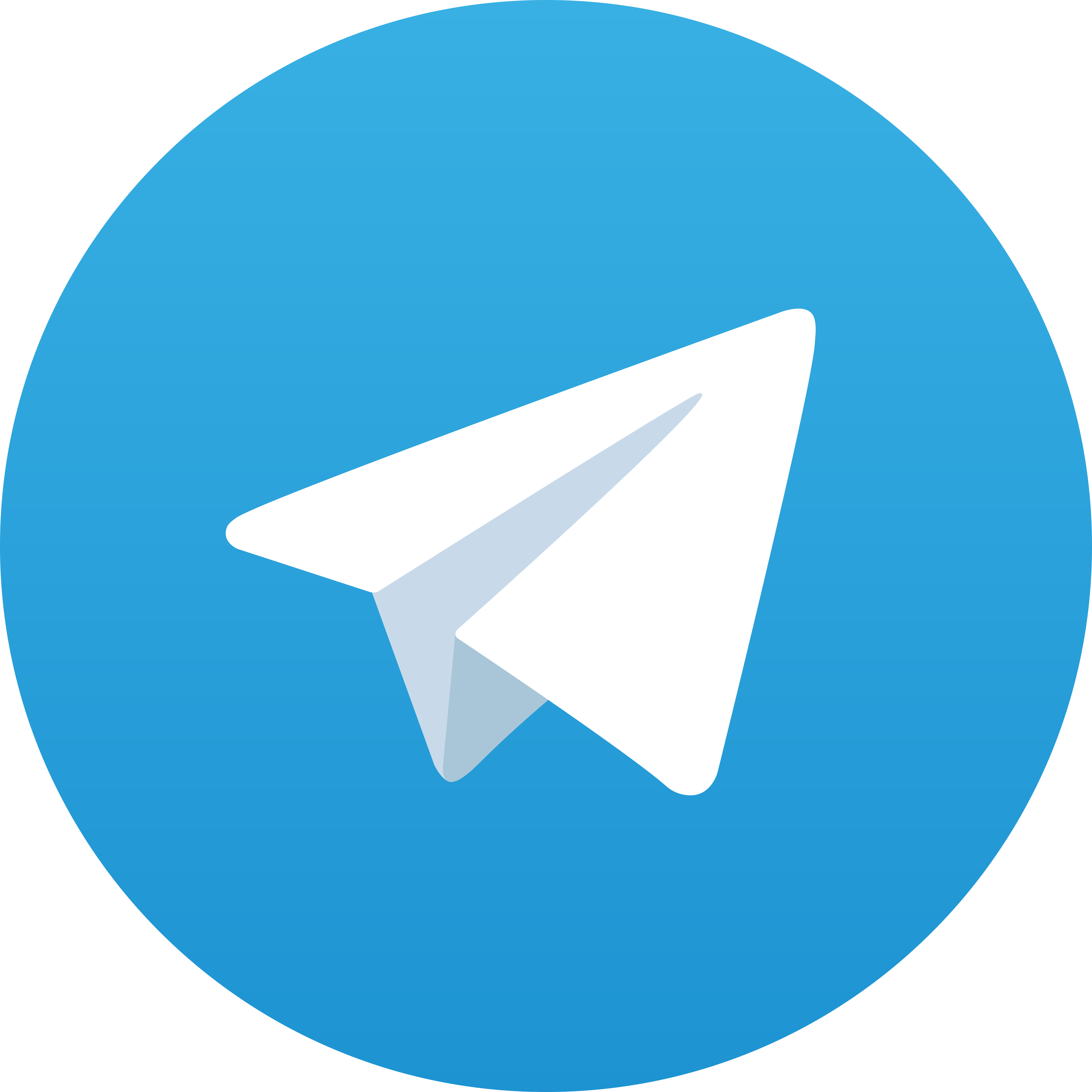 Telegram Rikitoto88